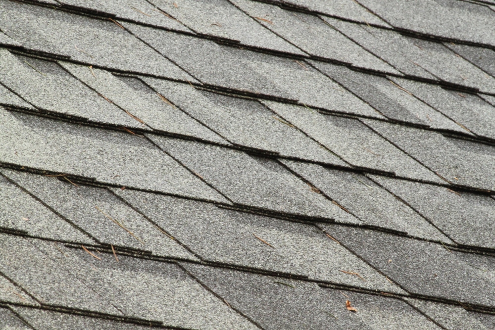 Roof inpection Services New Orleans