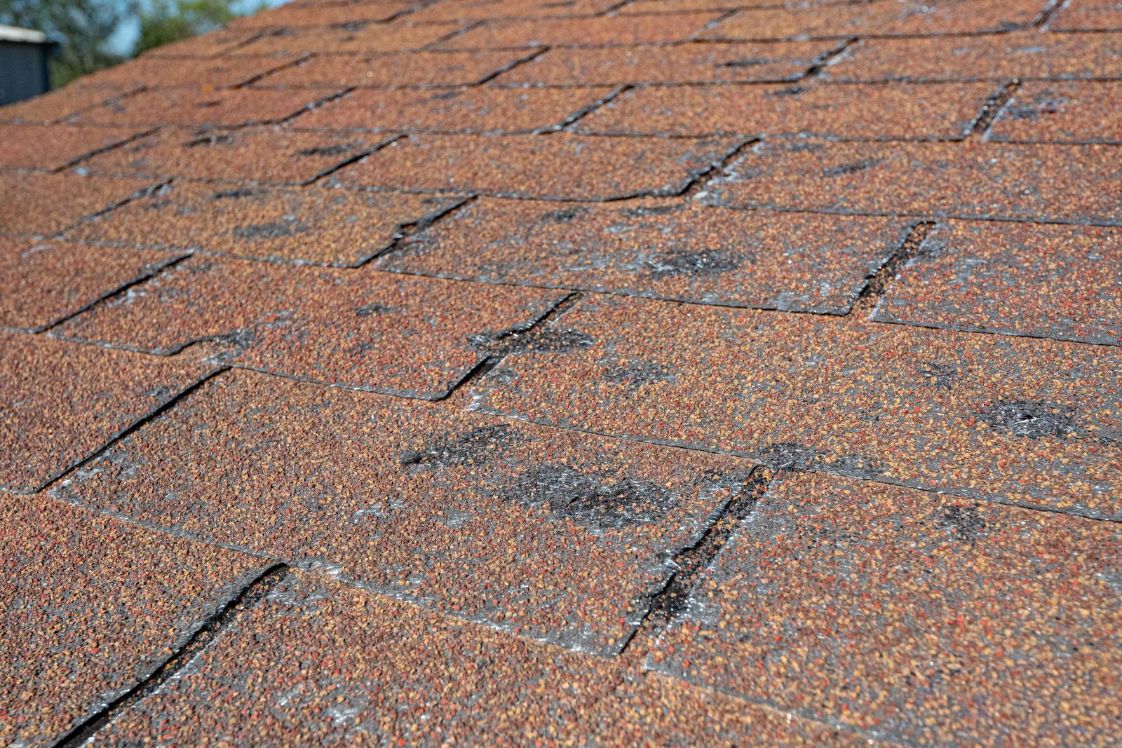 Close-up of asphalt shingles showing hail impact damage
