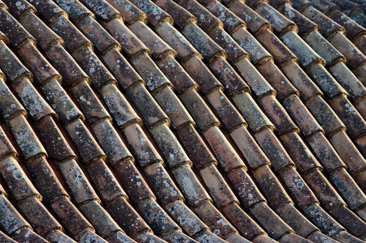 Dark, grimy streaks across an old tile roof