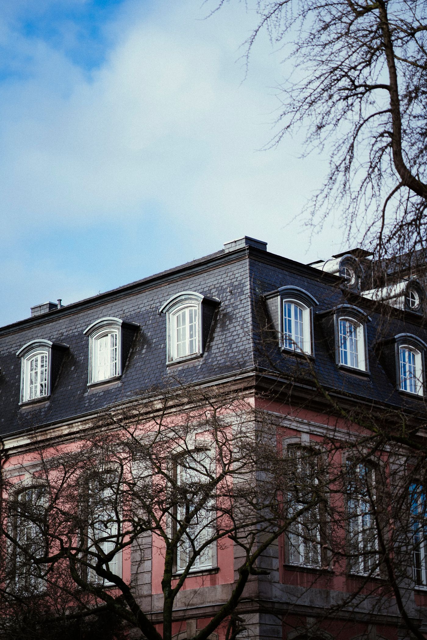 Dark slate mansard roof with arched dormers