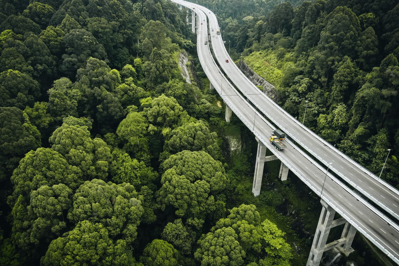 Elevated highway curving over a forest