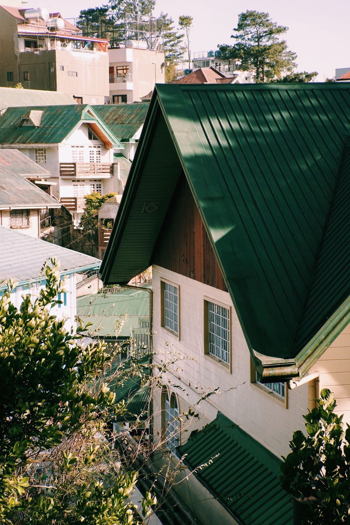 Green standing seam roofs on hillside houses