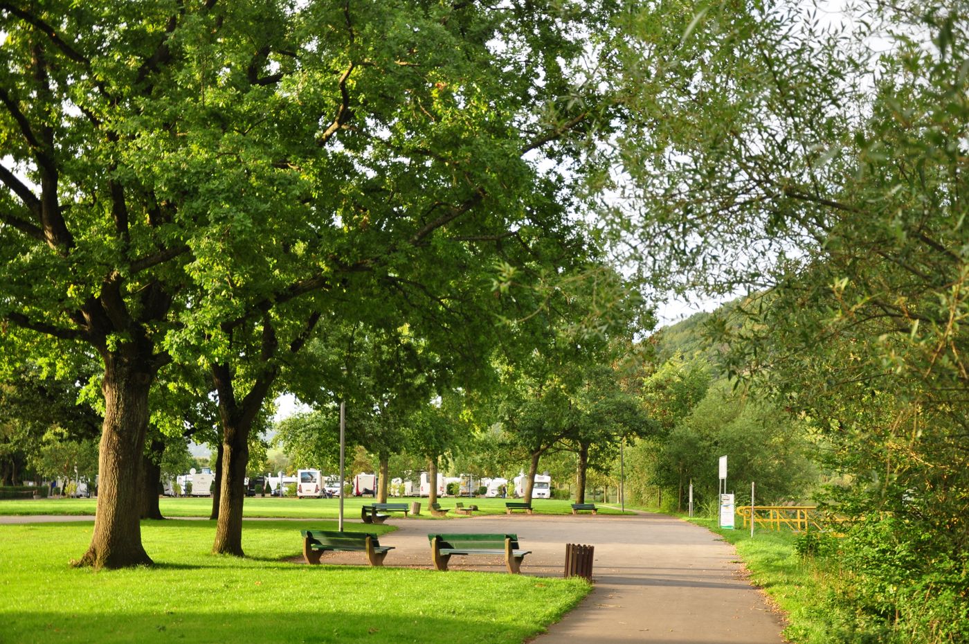 Park path under shade trees
