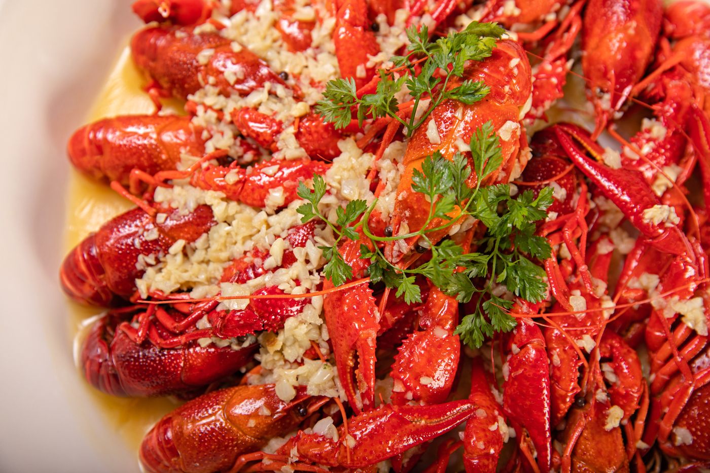 Plate of boiled crawfish with herbs