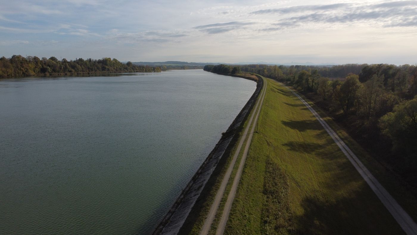 River with a levee and a road along the bank