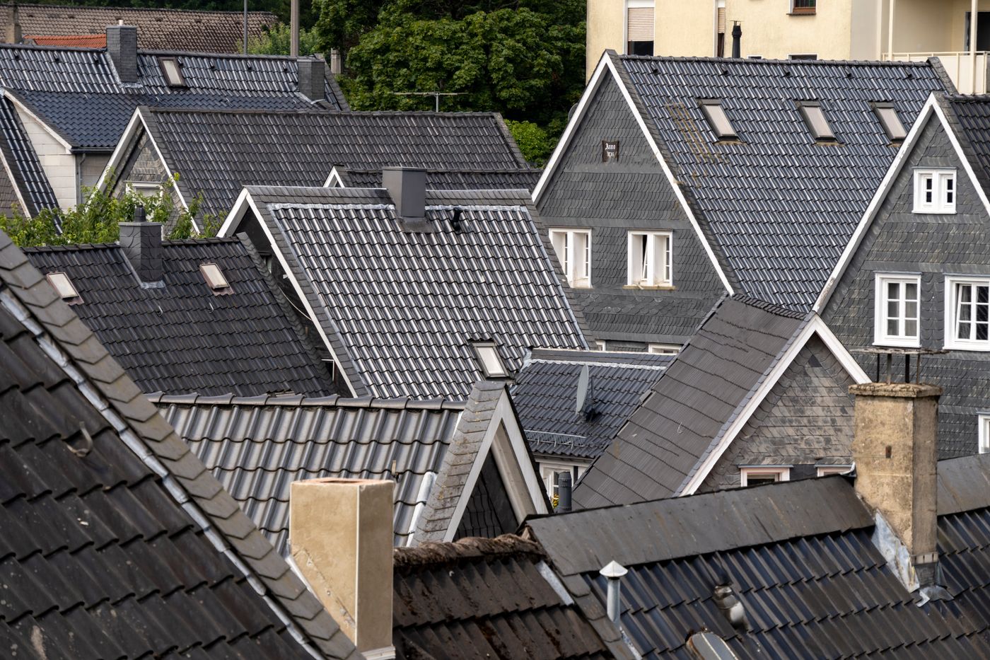 Rows of dark slate rooftops and gables