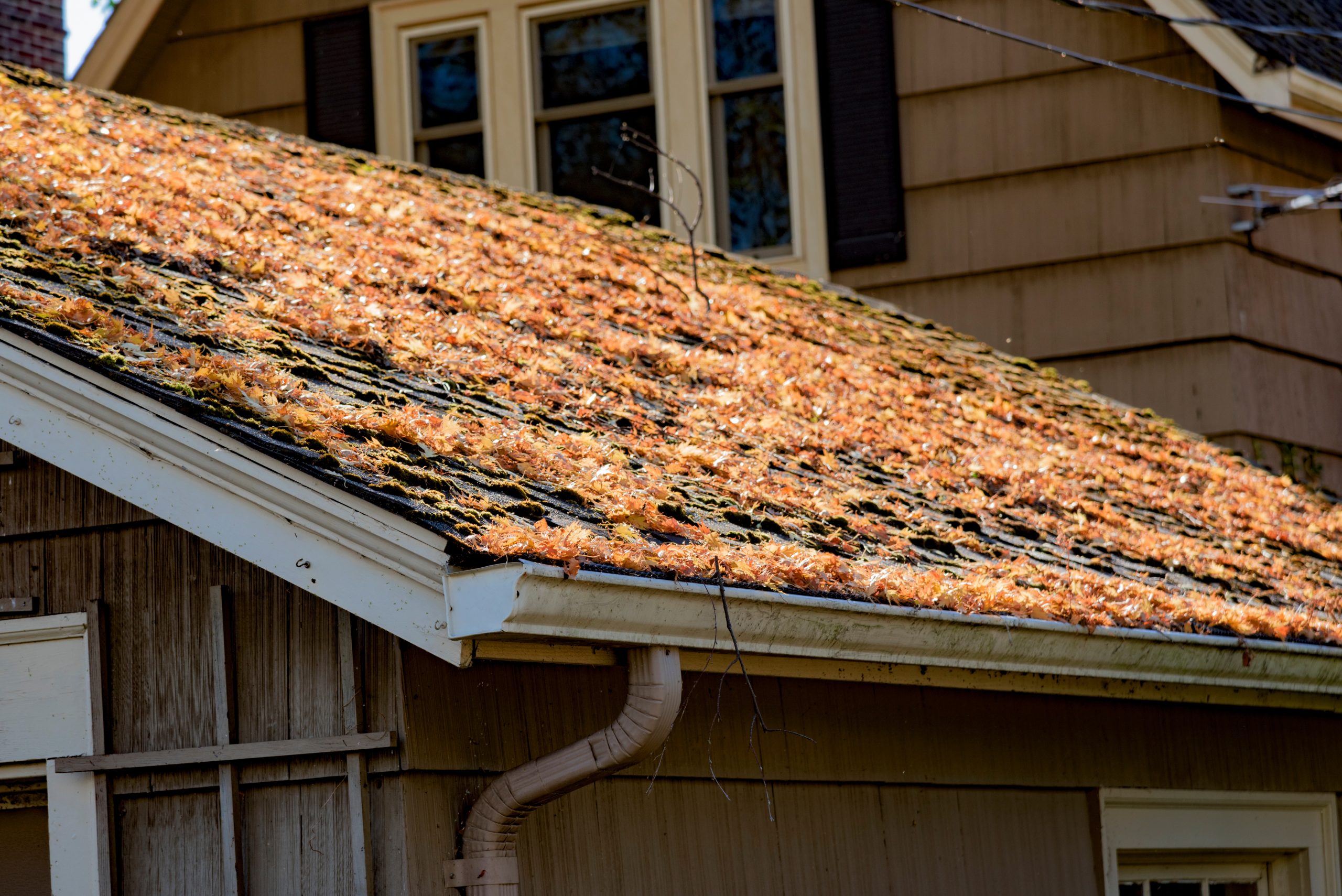 s how to identify roofing problems