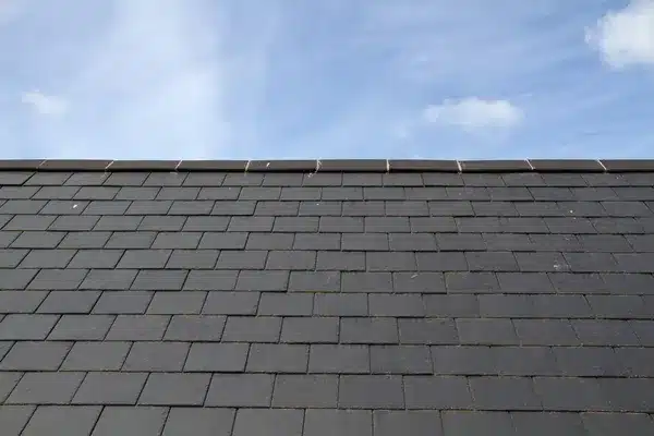 Slate roof against the sky