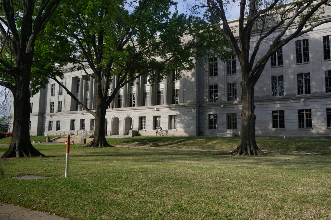Stone campus building behind tall shade trees