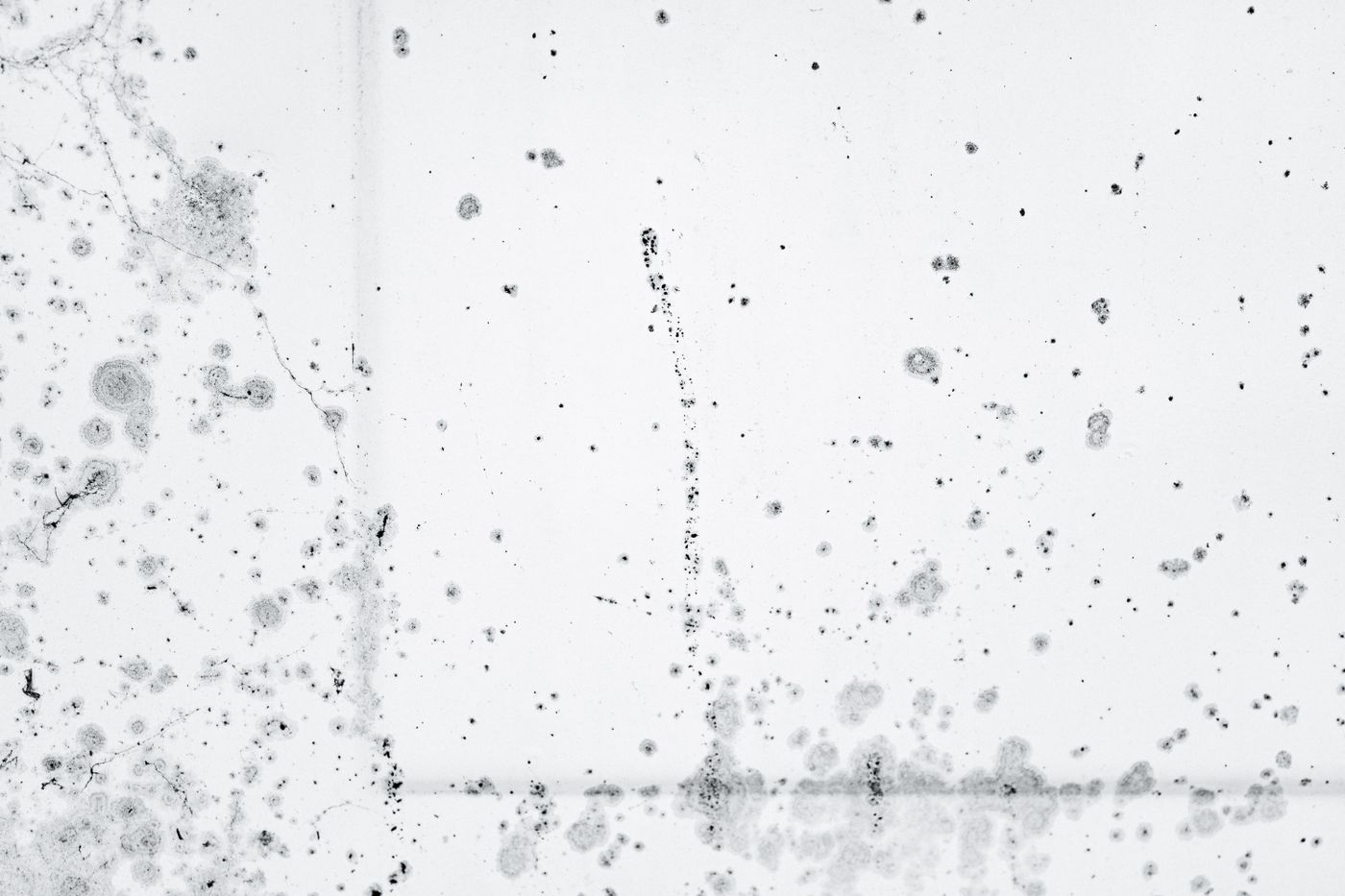 Water stains spreading across a ceiling