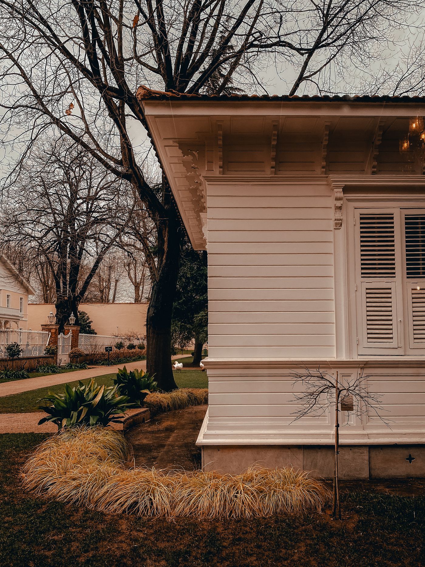 Wooden eave with carved brackets over white siding