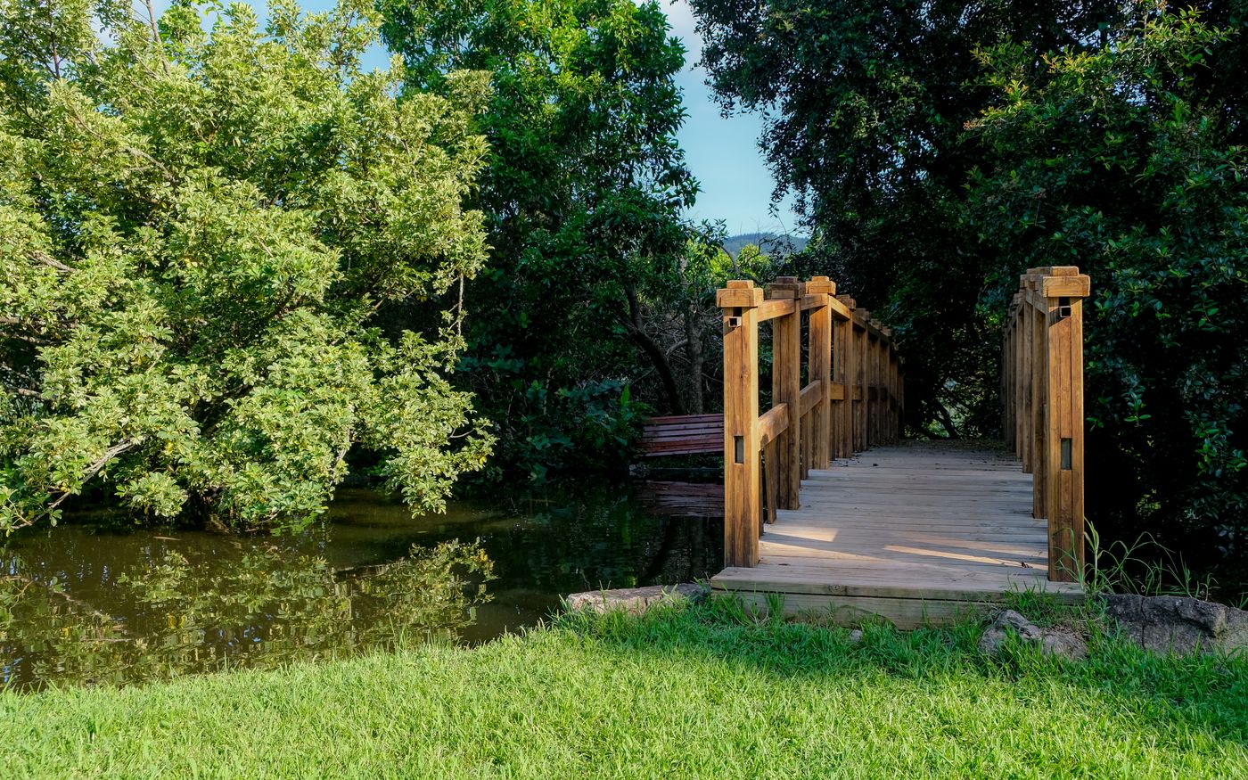 Wooden footbridge over a park pond
