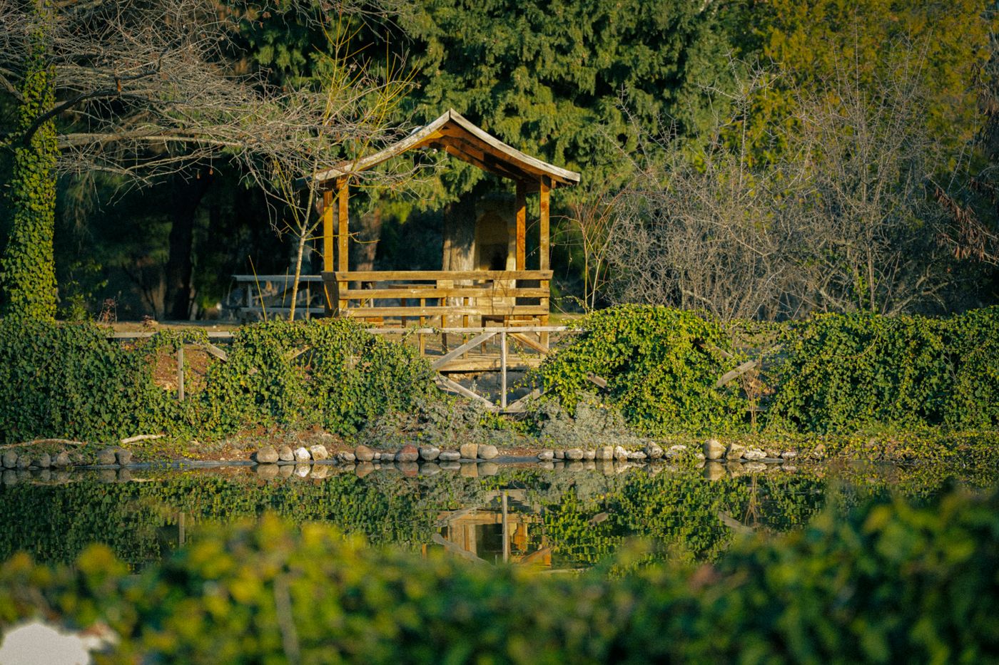 Wooden gazebo beside a pond in a park